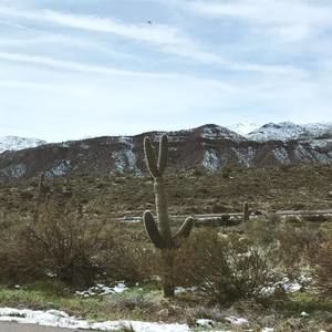 Meet your Posher, Lindsey